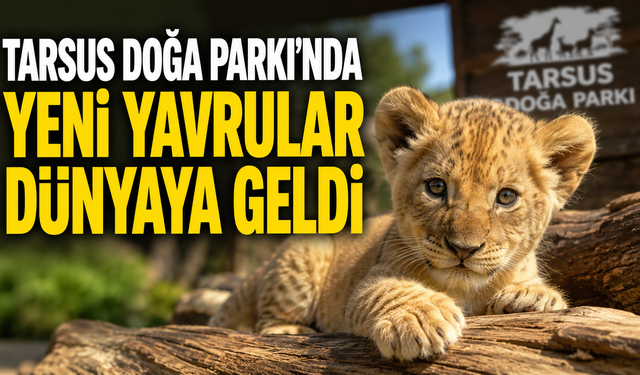 Tarsus Doğa Parkı'nda Yeni Yavrular Dünyaya Gözlerini Açtı
