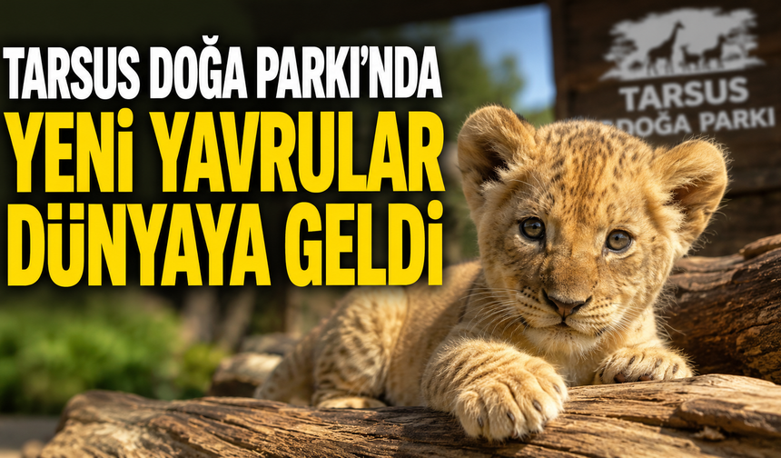 Tarsus Doğa Parkı'nda Yeni Yavrular Dünyaya Gözlerini Açtı